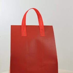 NEO BAG/GRANDE VERMELHA 30X36X20